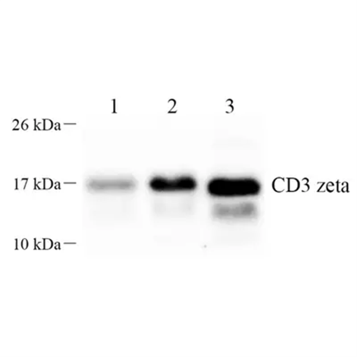 /Content/Upload/Product/GB112398-1_1200.png