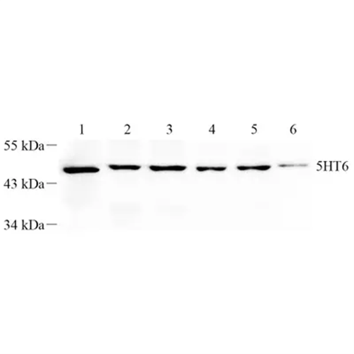 /Content/Upload/Product/GB112416-1_1200.png