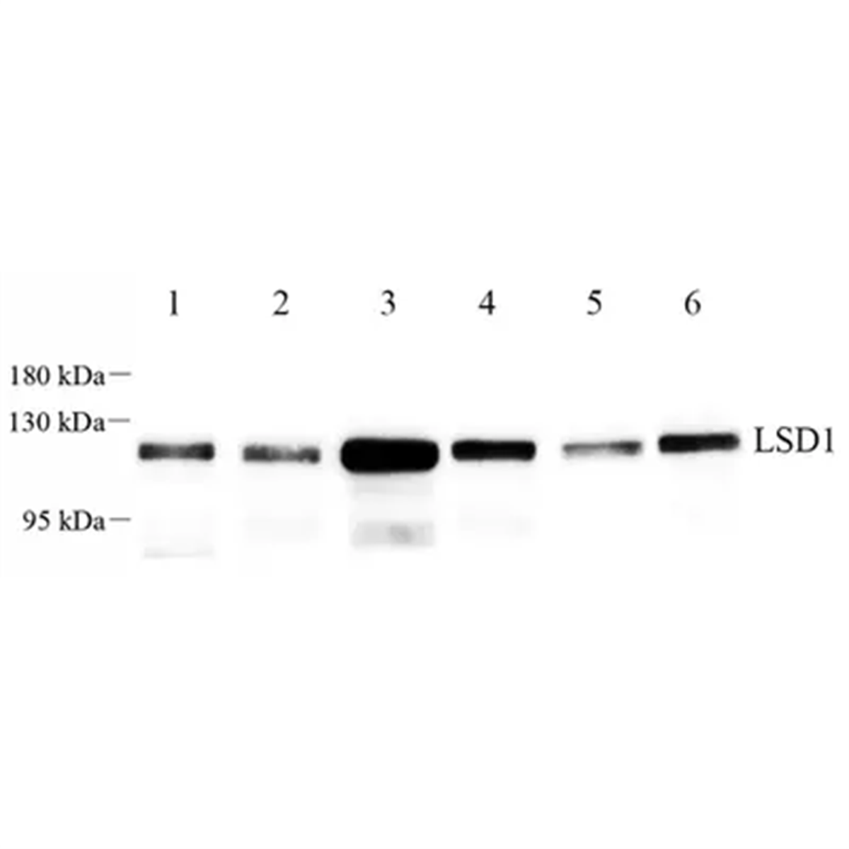 /Content/Upload/Product/GB112427-1_1200.png