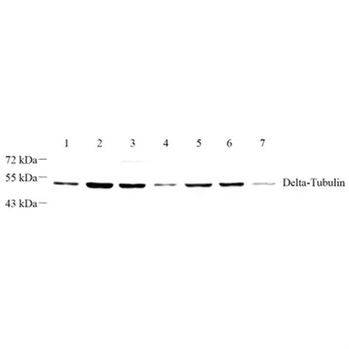 /Content/Upload/Product/GB112476-1_1200.png