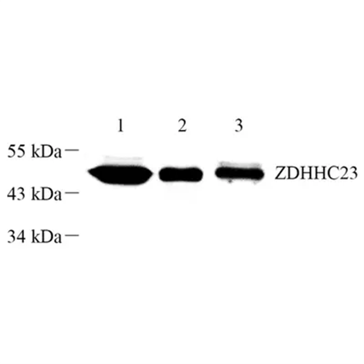 /Content/Upload/Product/GB112501-1_1200.png