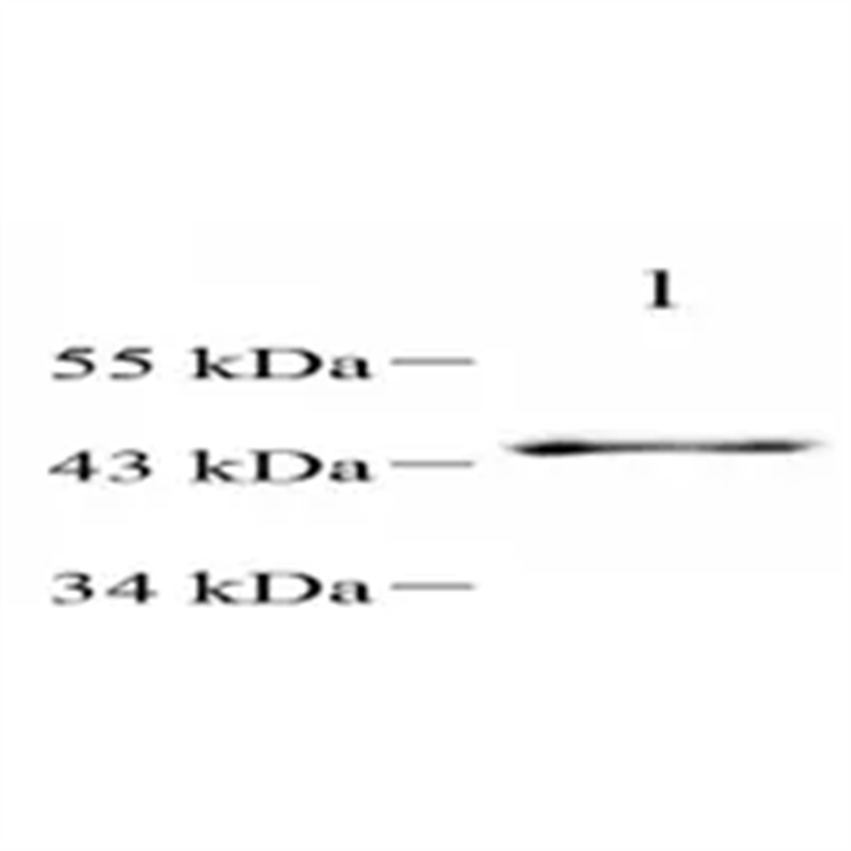 /Content/Upload/Product/GB112510-3_1200.png
