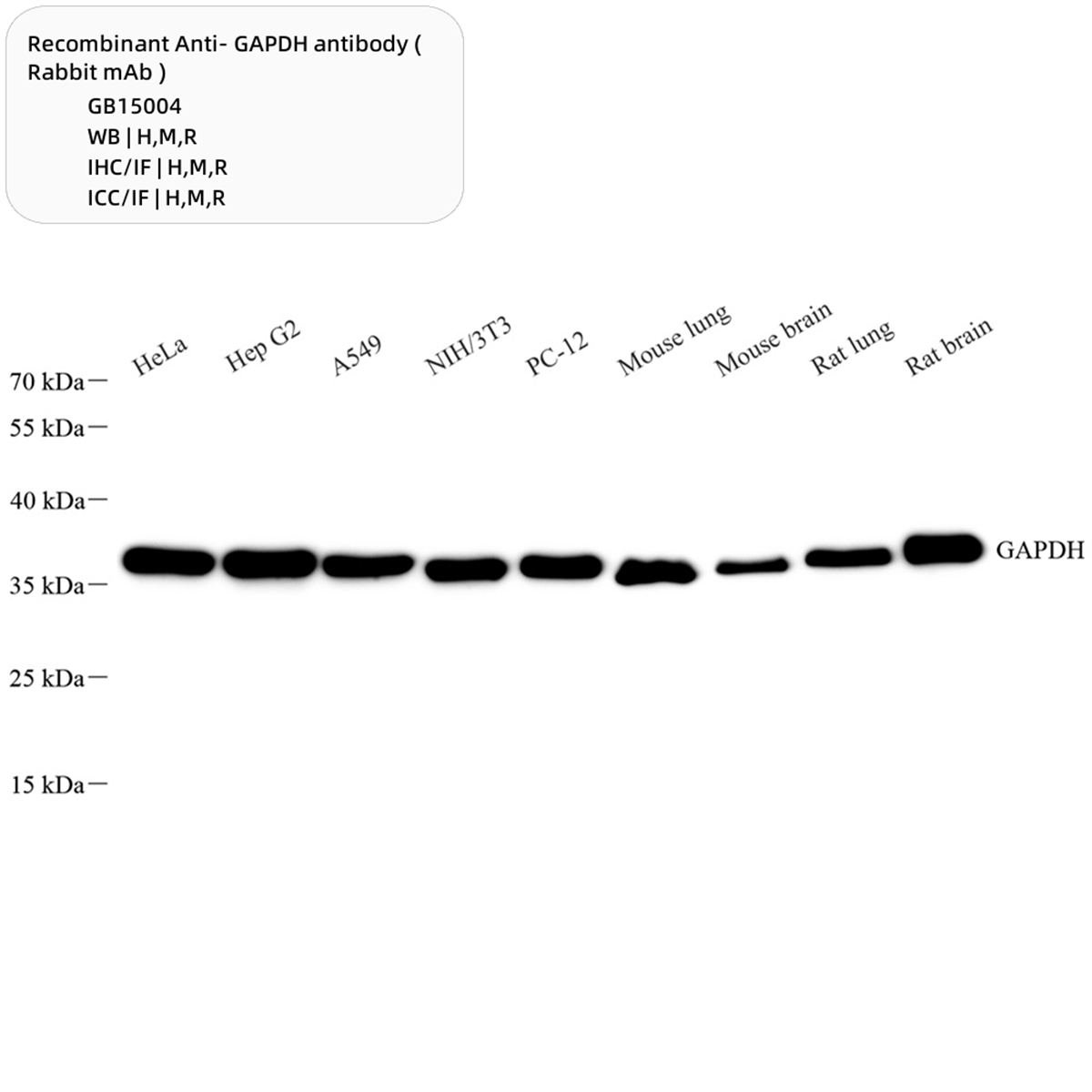 /Content/Upload/Product/GB15004-100-1_1200.png