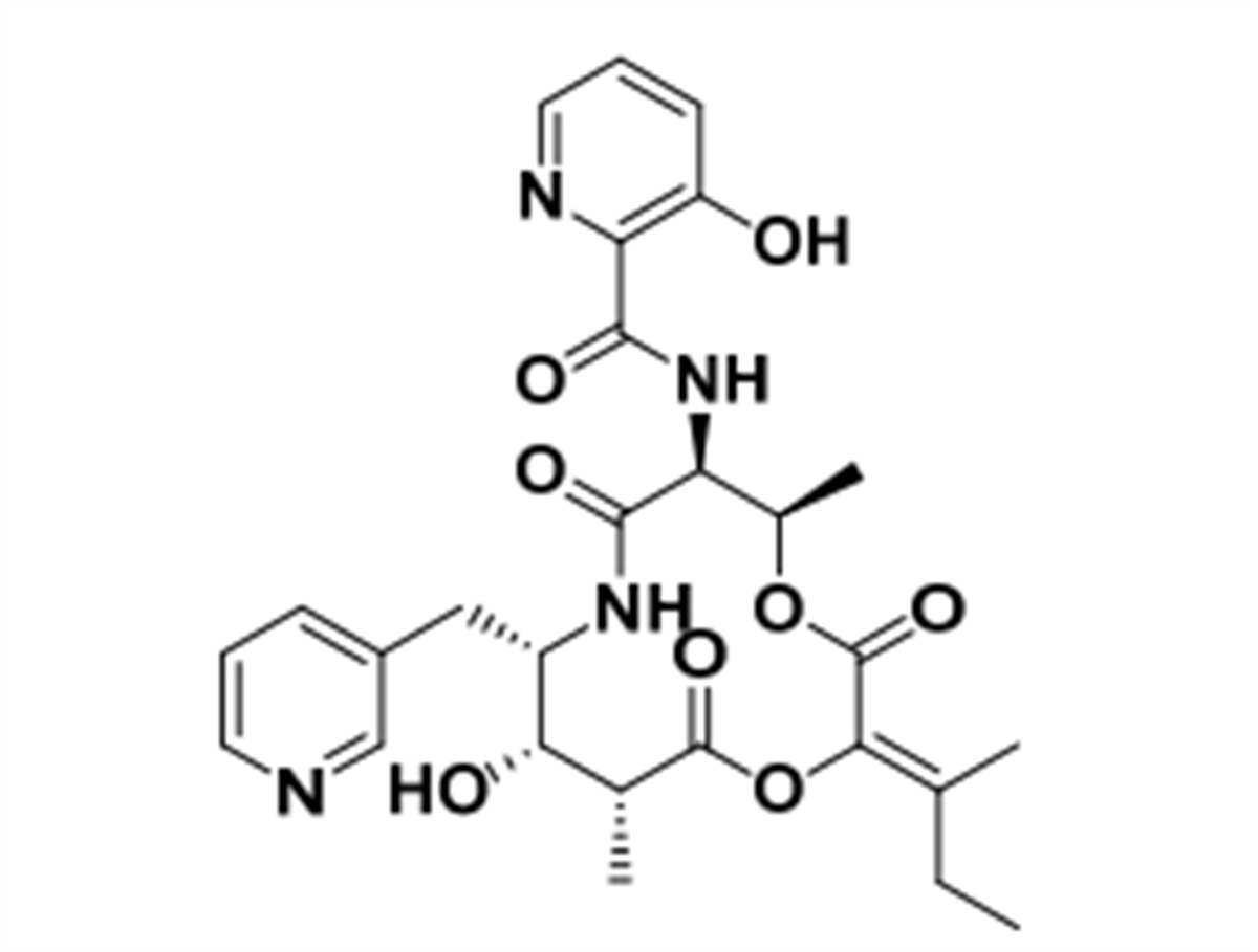 /Content/Upload/Product/IMG_FNK-10080_1200.png