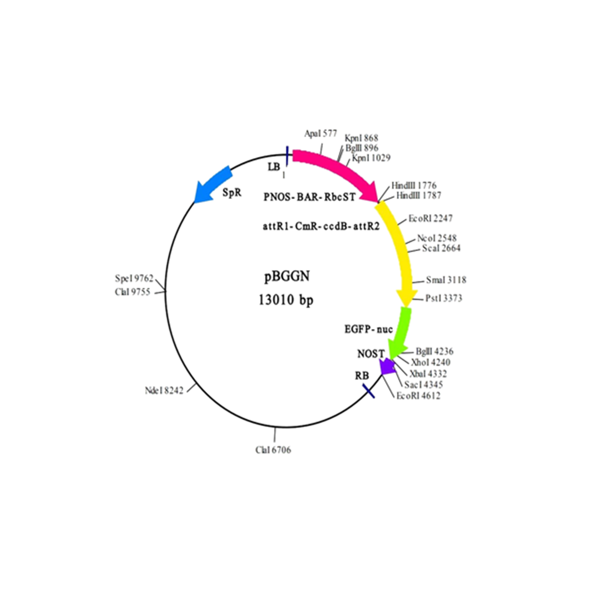 /Content/Upload/Product/IN3-VEC13_1200.png