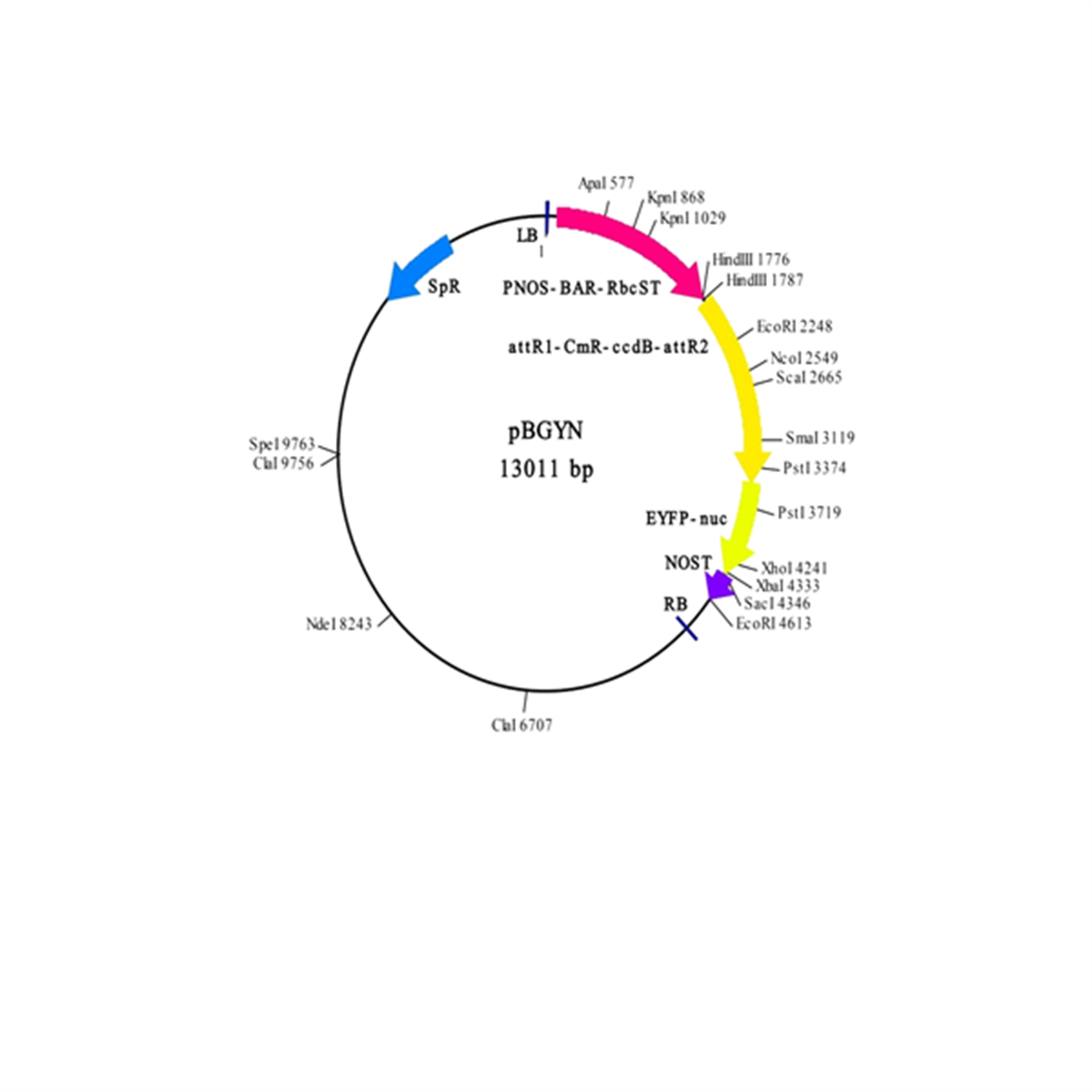 /Content/Upload/Product/IN3-VEC14_1200.png