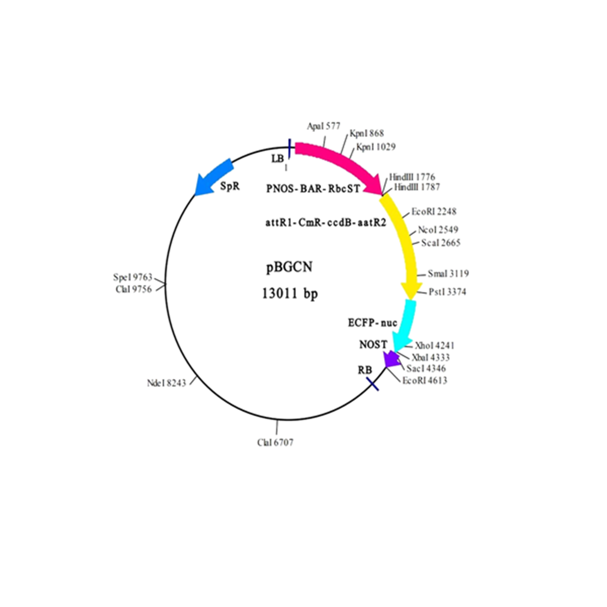 /Content/Upload/Product/IN3-VEC15_1200.png