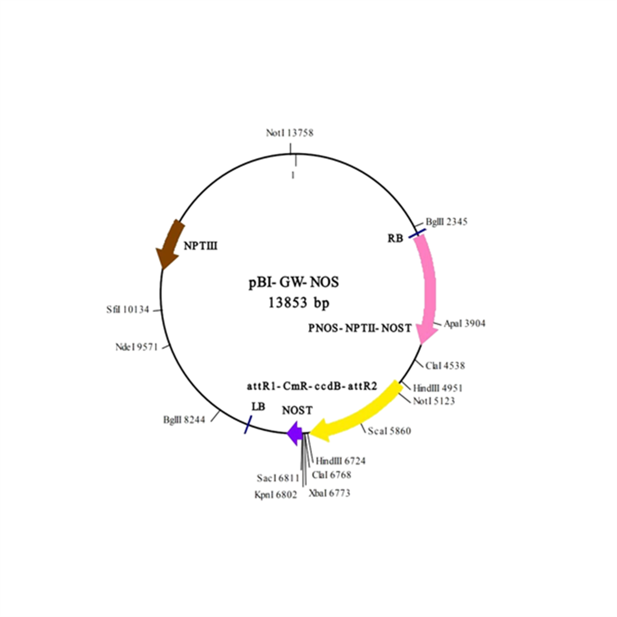 /Content/Upload/Product/IN3-VEC1_1200_1200.png