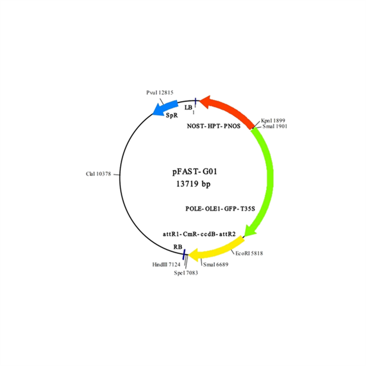 /Content/Upload/Product/IN3-VEC31_1200_1200_1.png