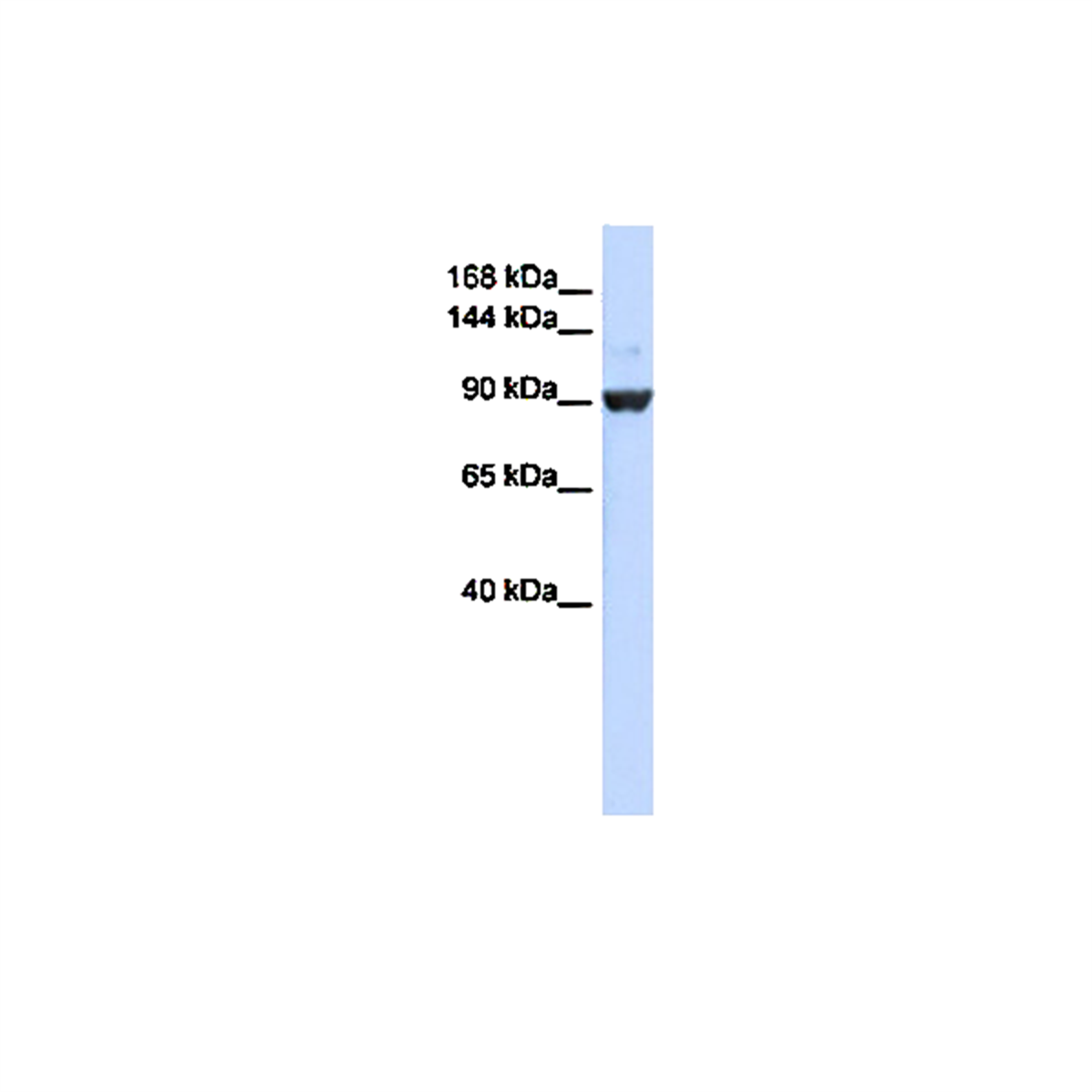 /Content/Upload/Product/MK01340910_1200.png