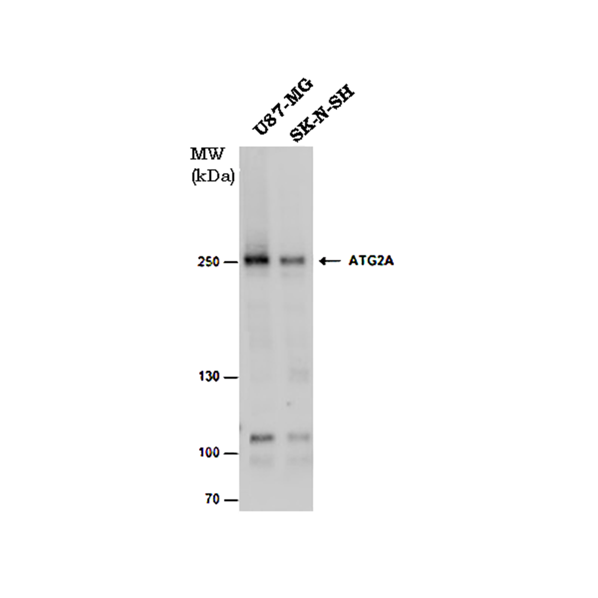 /Content/Upload/Product/MKA0404AF_fig1_1200_1.png