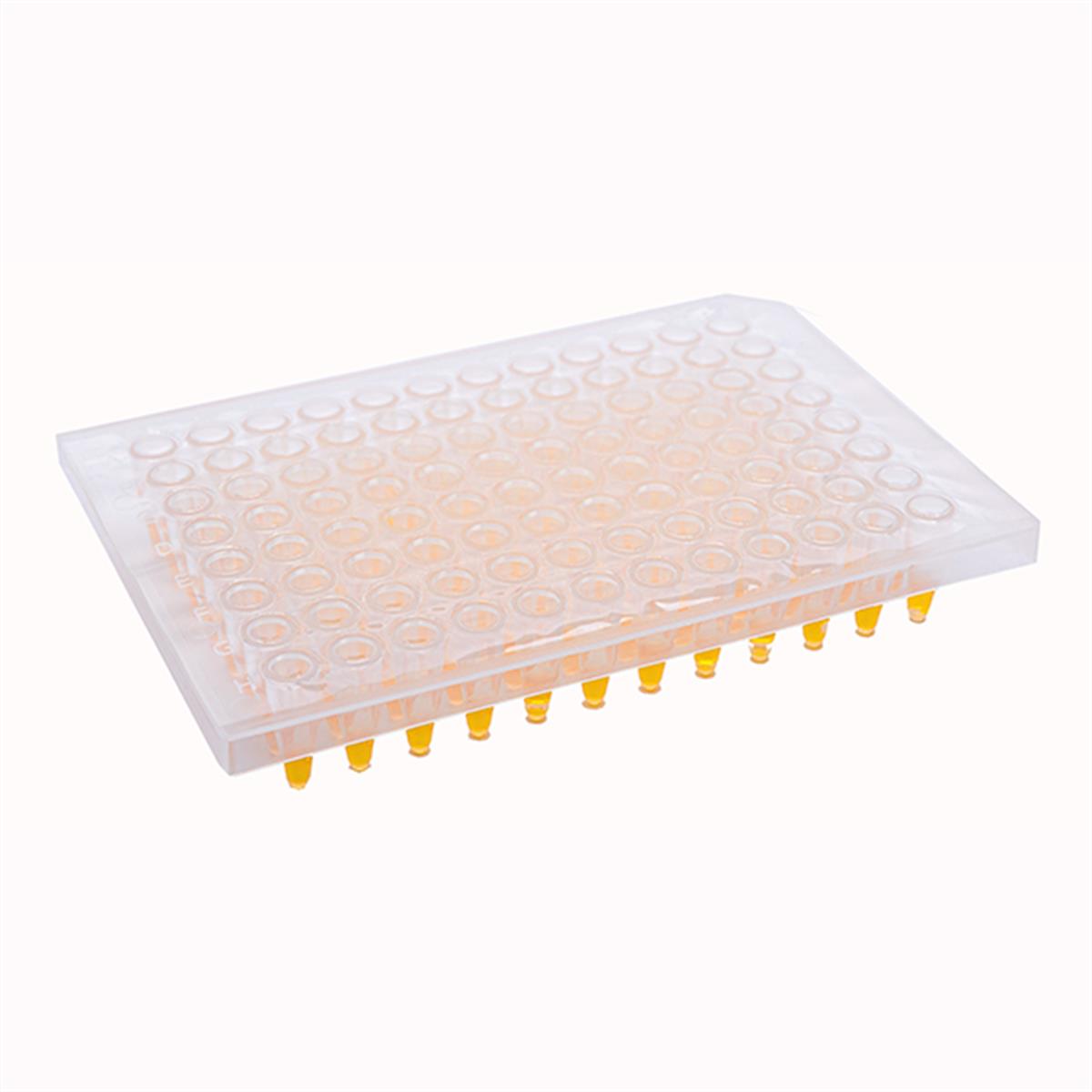 /Content/Upload/Product/MS1000-PCR2-HREM_1200.jpg