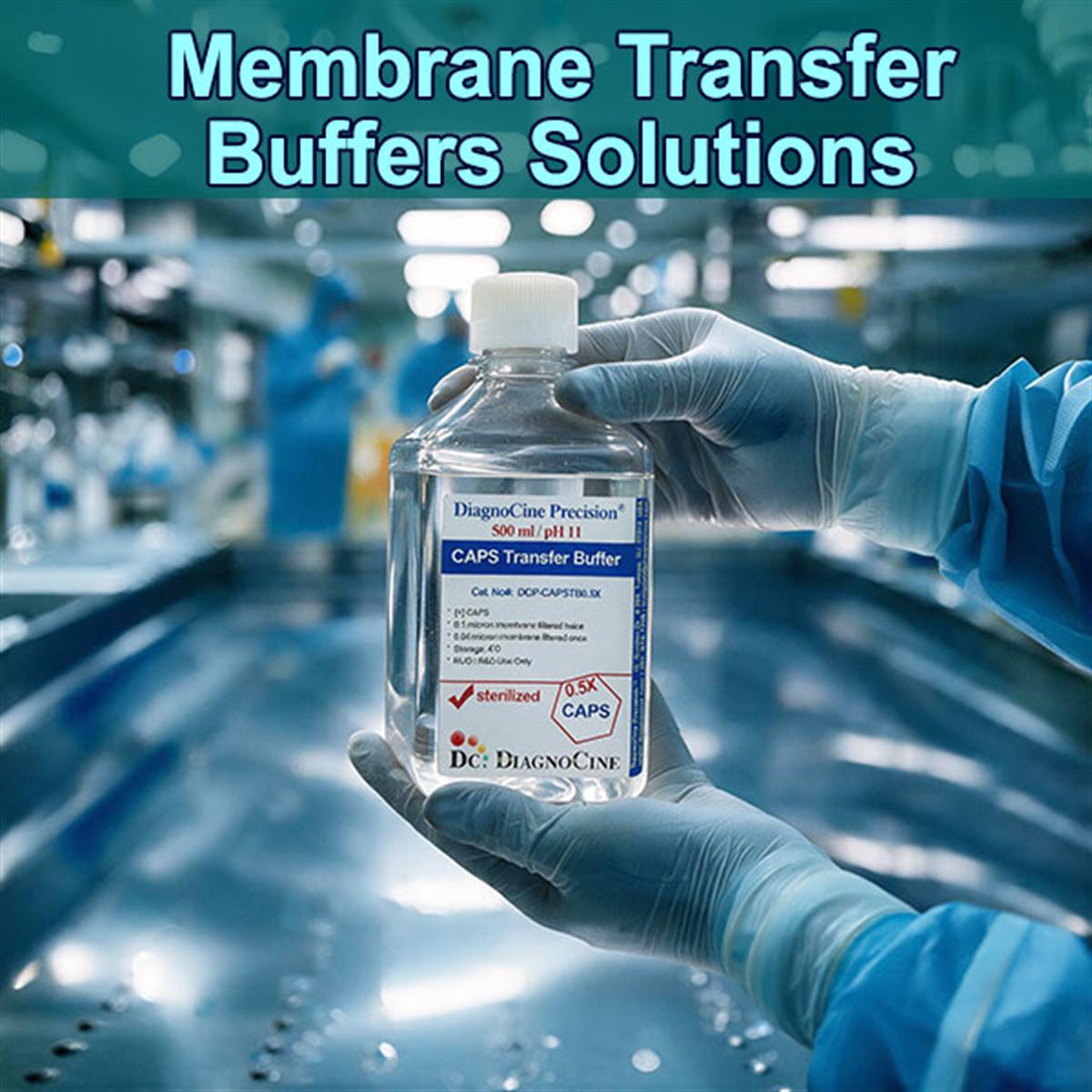 /Content/Upload/Product/Membrane-Transfer-Buffers-Solutions-Category-Diagnocine_1200.jpg