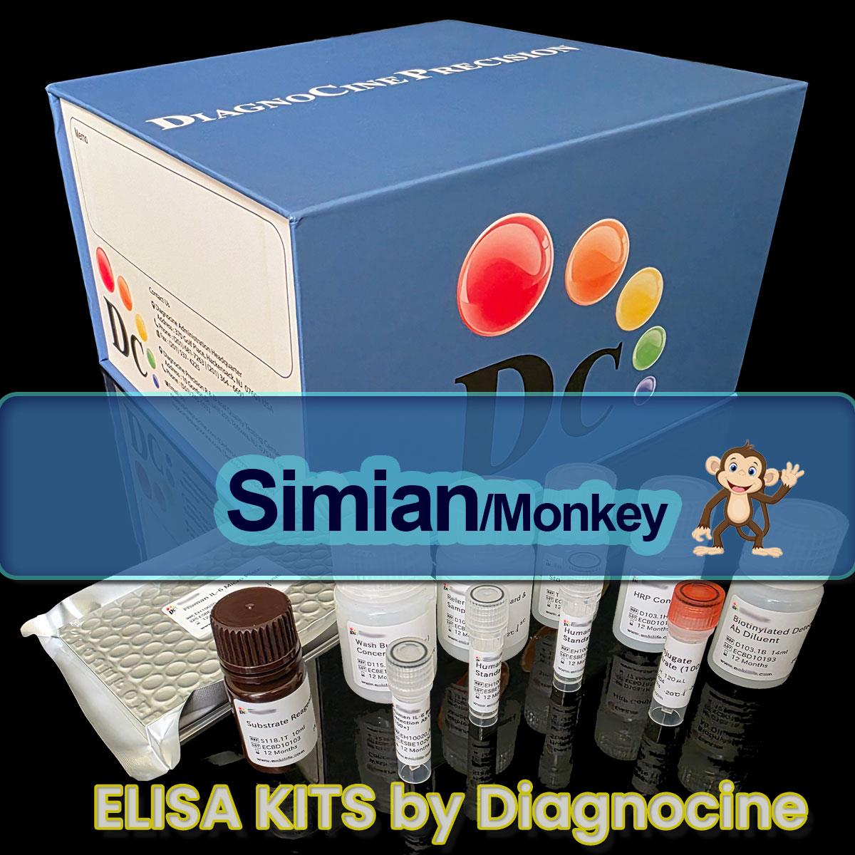 /Content/Upload/Product/Monkey_ELISA_kits_Diagnocine_1200(49).jpg