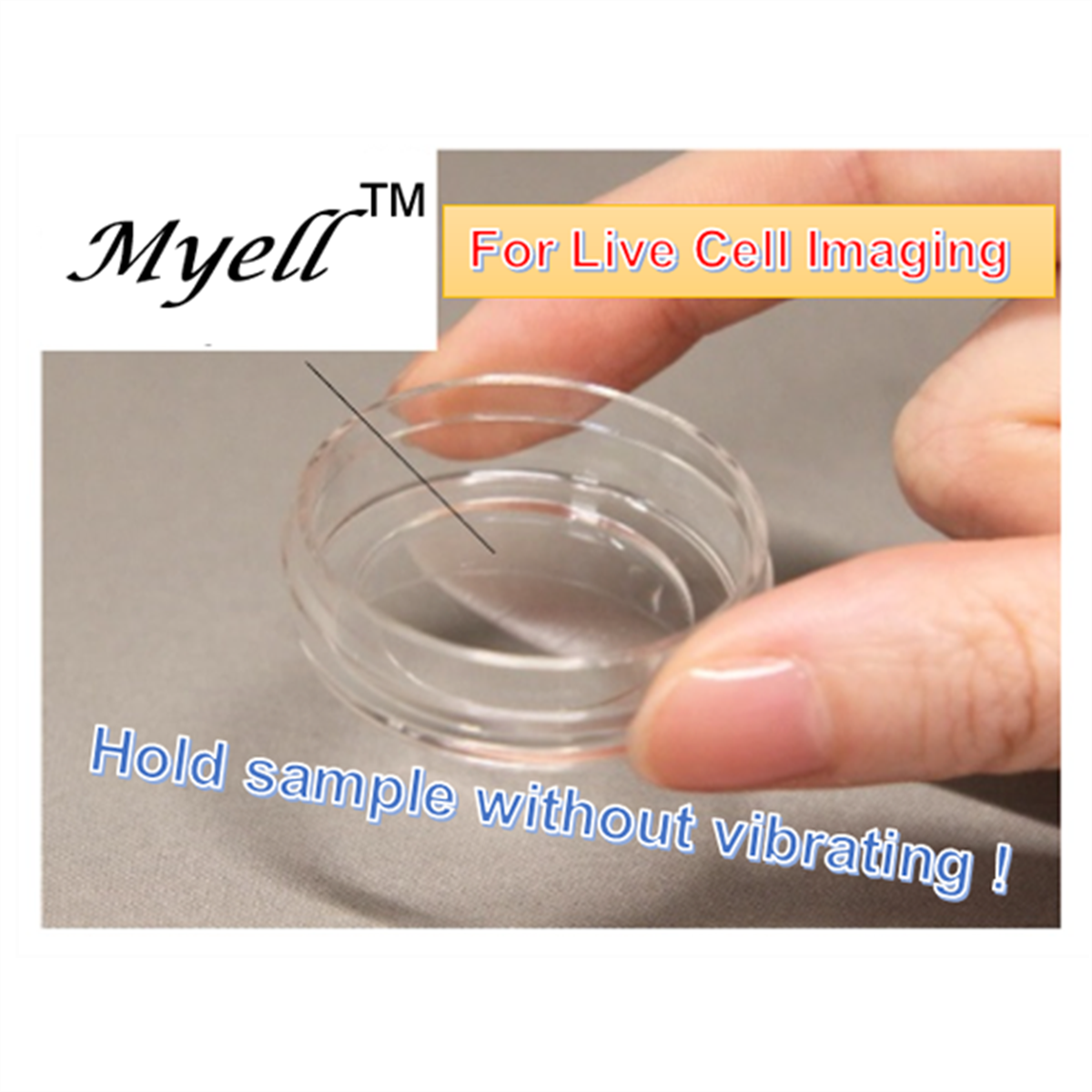 /Content/Upload/Product/Myell-1_1200_1200_1.png
