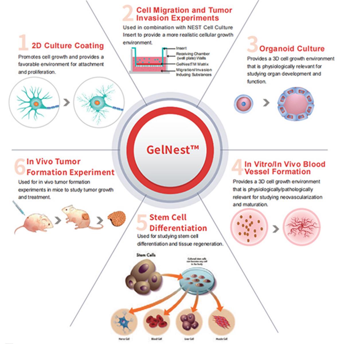 /Content/Upload/Product/NEST-GelNest-Matrix_NST-211212_600_Diagnocine.jpg_1200.jpg