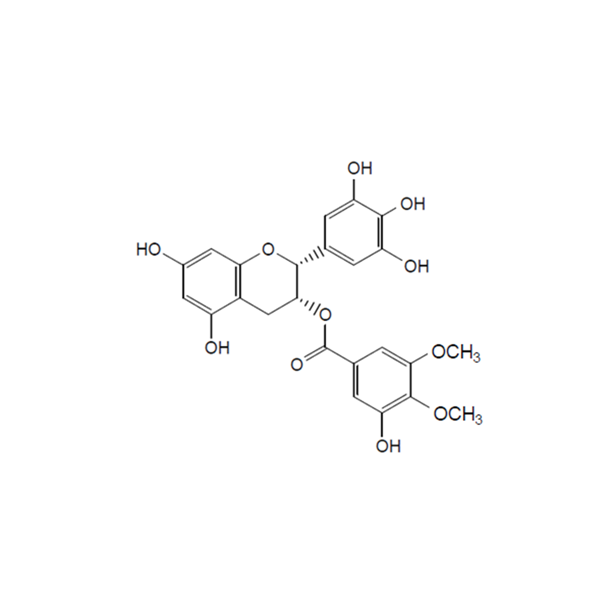 /Content/Upload/Product/NH023701_1200.png
