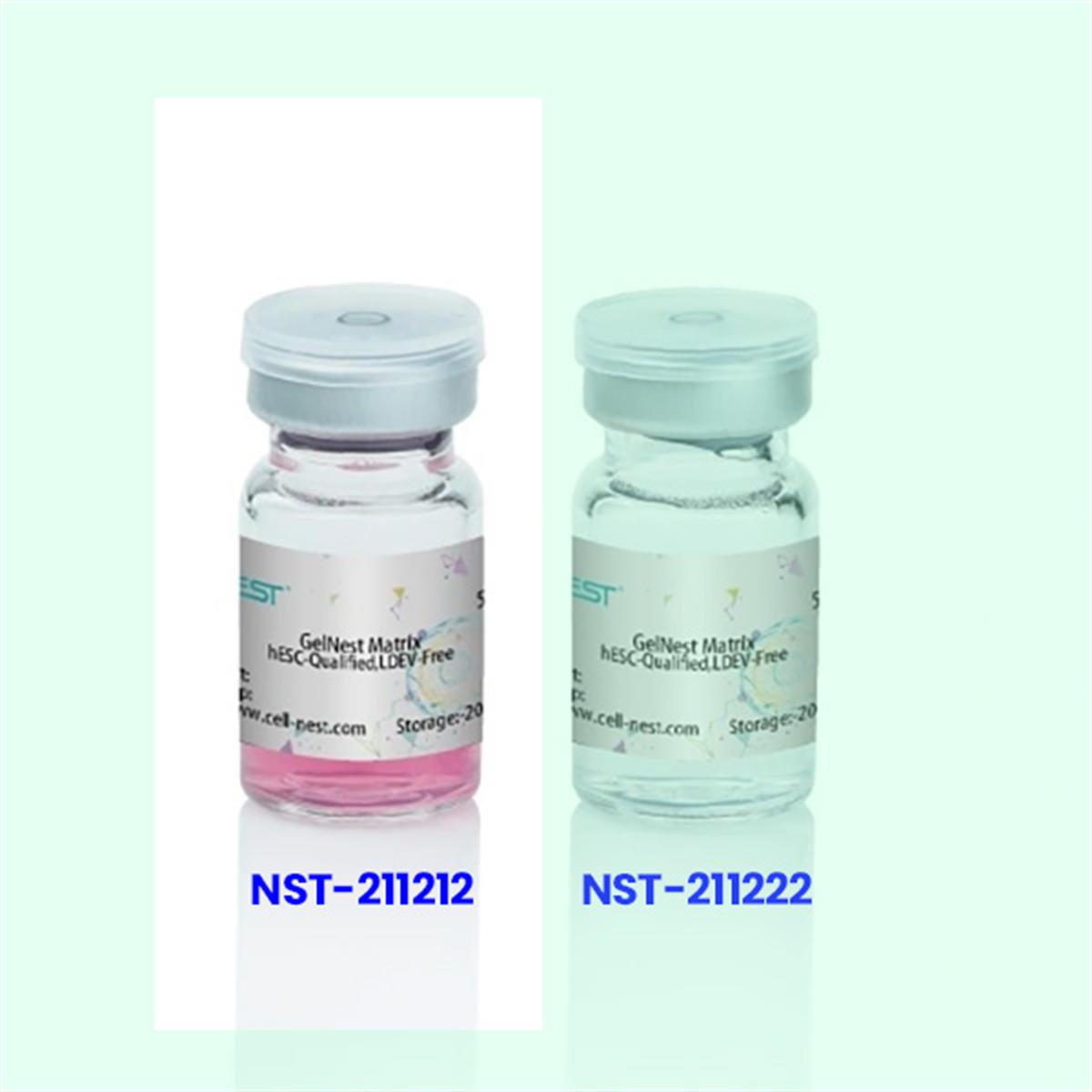 /Content/Upload/Product/NST-211212_w600_Diagncine_1200.jpg