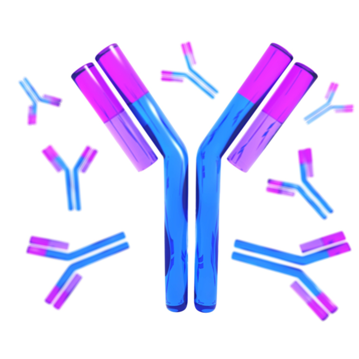 /Content/Upload/Product/NoImagFound_Antibody_1200_36.png