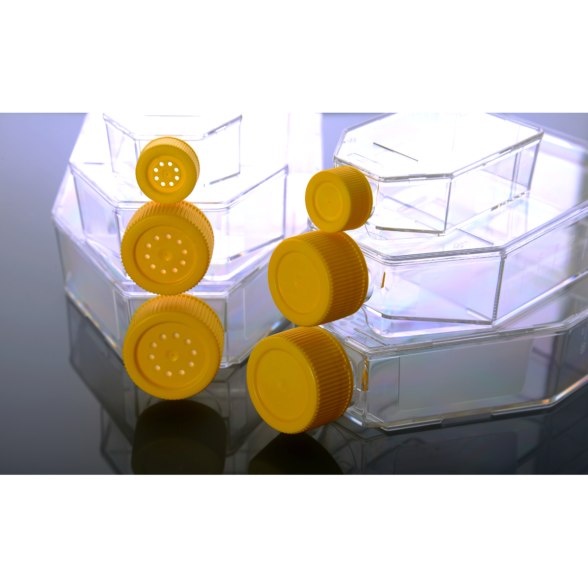 /Content/Upload/Product/Non-Treated_Flask_1200_1200.png