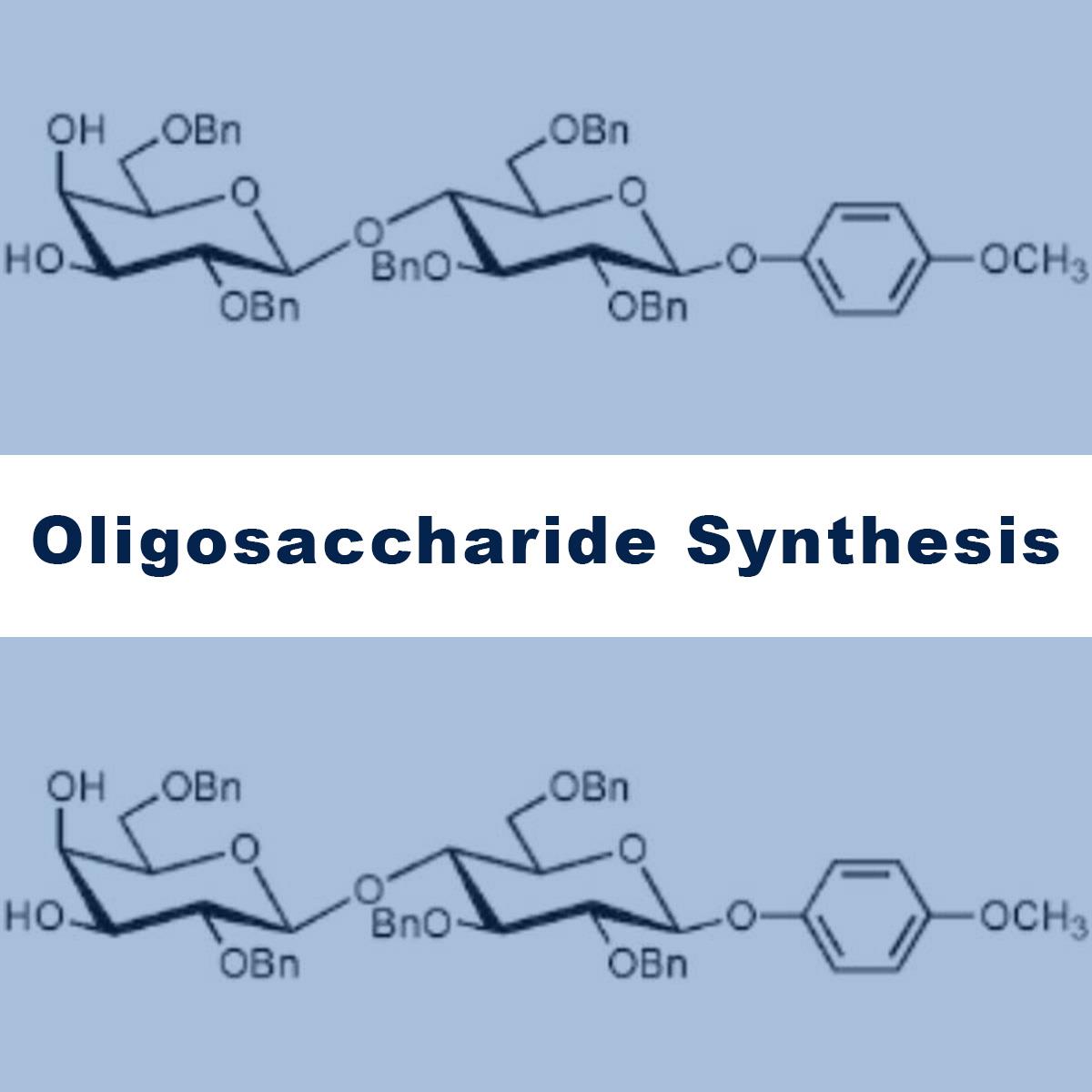 /Content/Upload/Product/Oligosaccharide-Synthesis-1200_1200.jpg