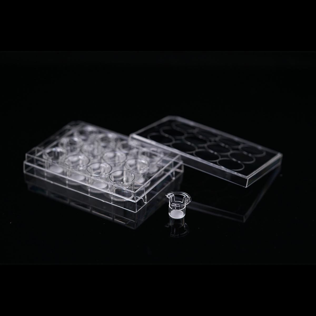 /Content/Upload/Product/Opaque-12-well-plate-12-insert-04μm-PET-membrane-724121-724131_Diagnocine_1200_1.jpg