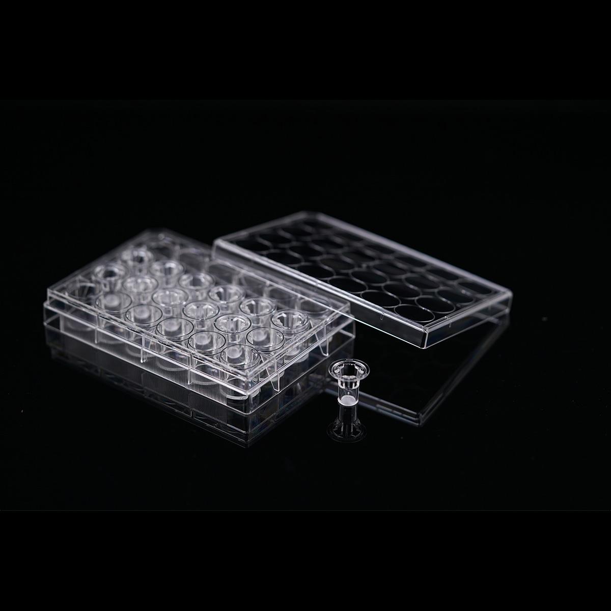 /Content/Upload/Product/Opaque-24-well-plate-12-insert-04μm-PET-membrane-725121-725131_Diagnocine_1200.jpg