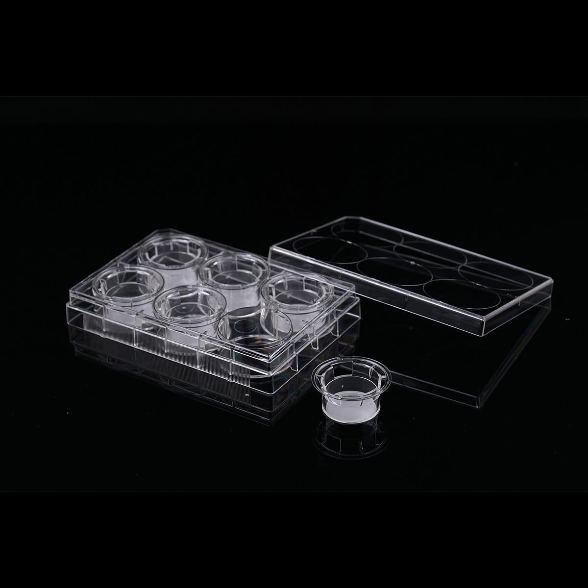 /Content/Upload/Product/Opaque-6-well-plate-6-insert-1μm-PET-membrane-723421-723431-Diagnocine_1200_1.jpg