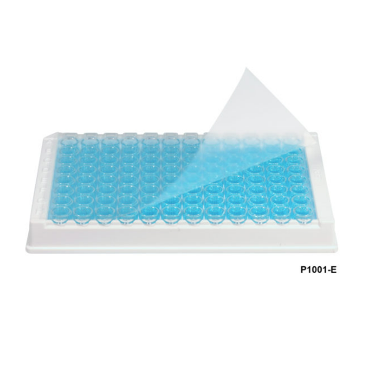 /Content/Upload/Product/P1001-E_600_1200.png