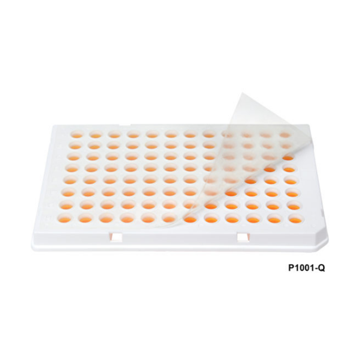 /Content/Upload/Product/P1001-Q_600_1200.png