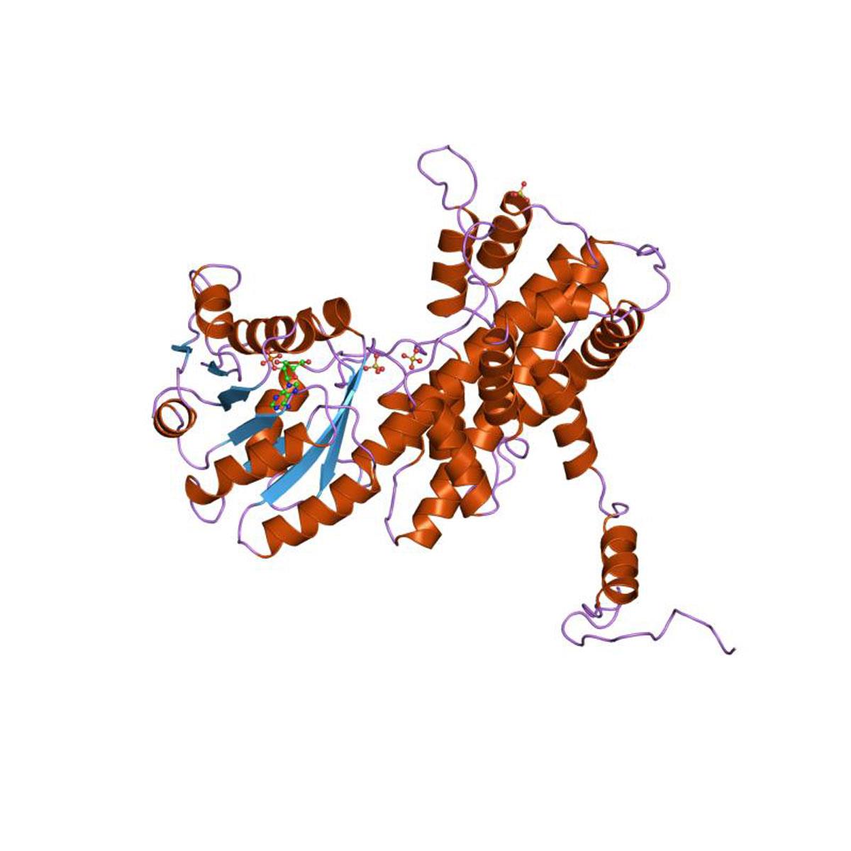/Content/Upload/Product/PDB_1pgq_EBI_1200_1.jpg