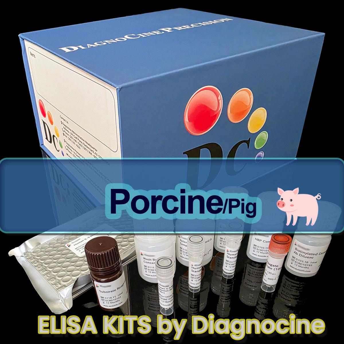 /Content/Upload/Product/Pig_ELISA_kits_Diagnocine_1200(893).jpg