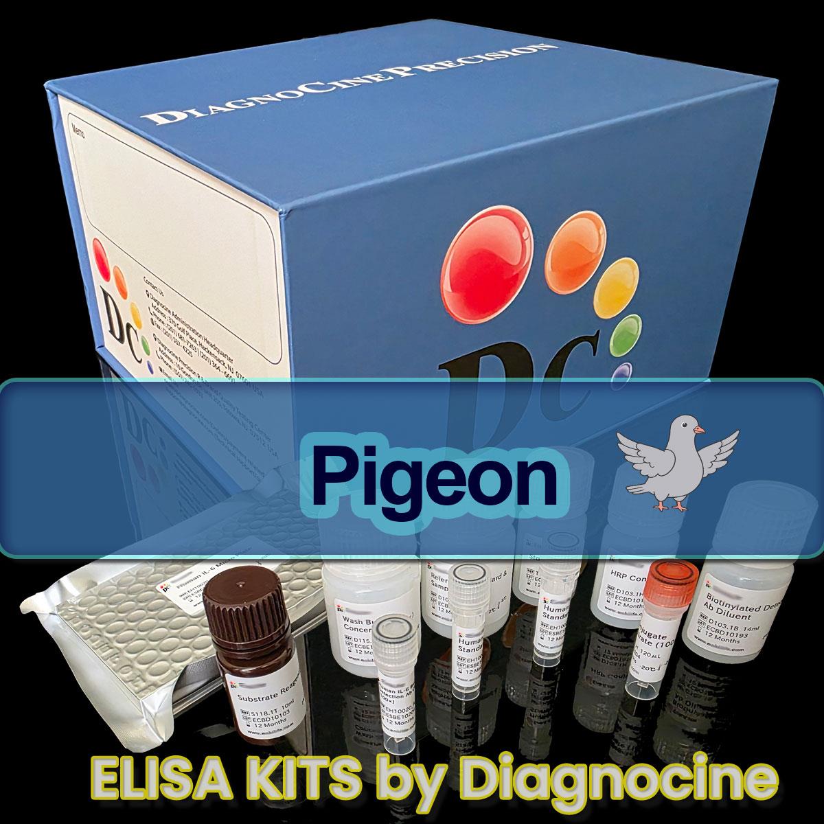 /Content/Upload/Product/Pigeon_ELISA_kits_Diagnocine_1200(1).jpg