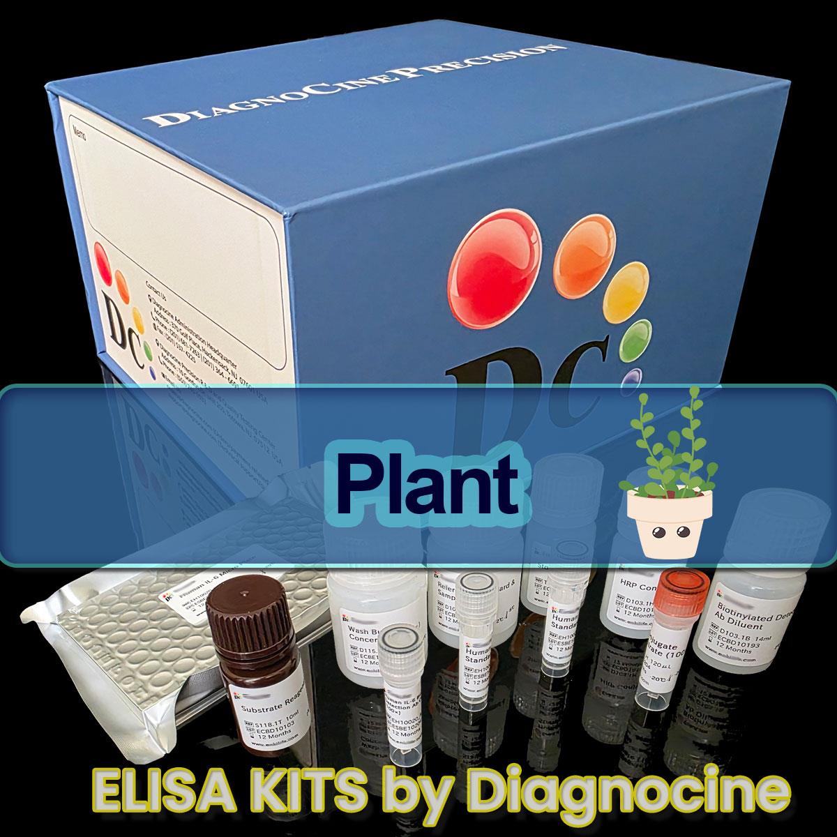 /Content/Upload/Product/Plant_ELISA_kits_Diagnocine_1200(9).jpg