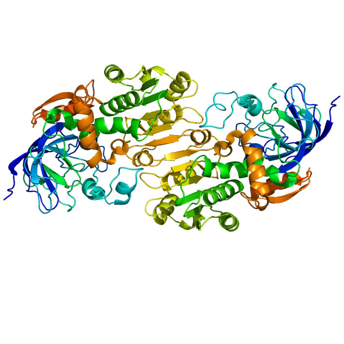 /Content/Upload/Product/Protein_ADH5_PDB_1m6h_1200_1.jpg