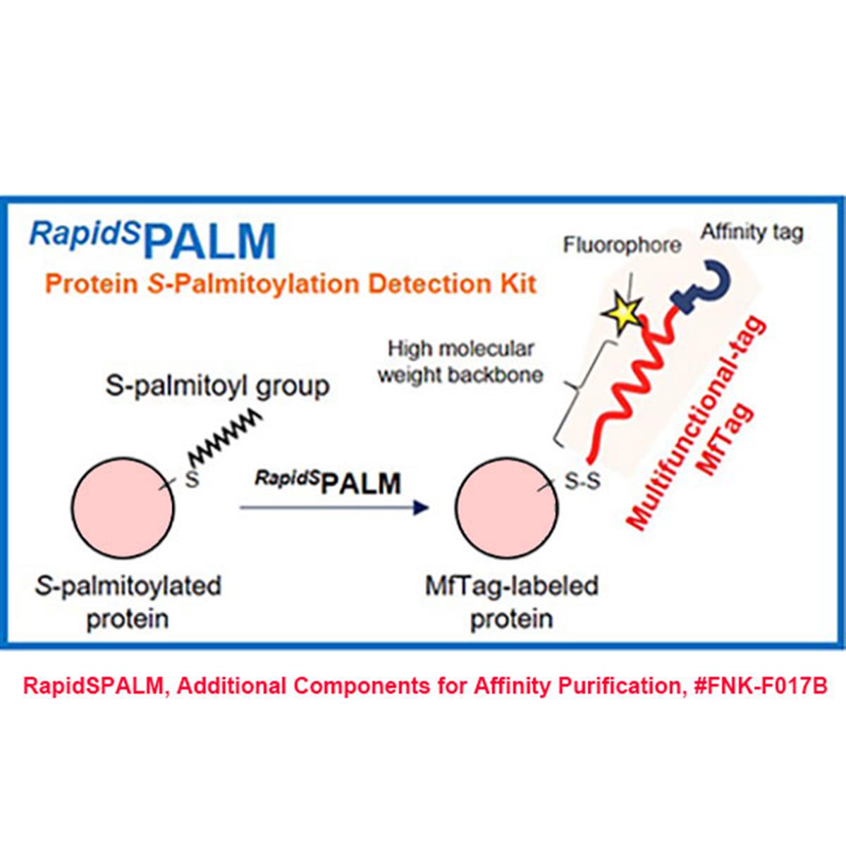 /Content/Upload/Product/RapidSPALM_Additional-Components-for-Affinity-Purification_FNK-F017B_1200.jpg