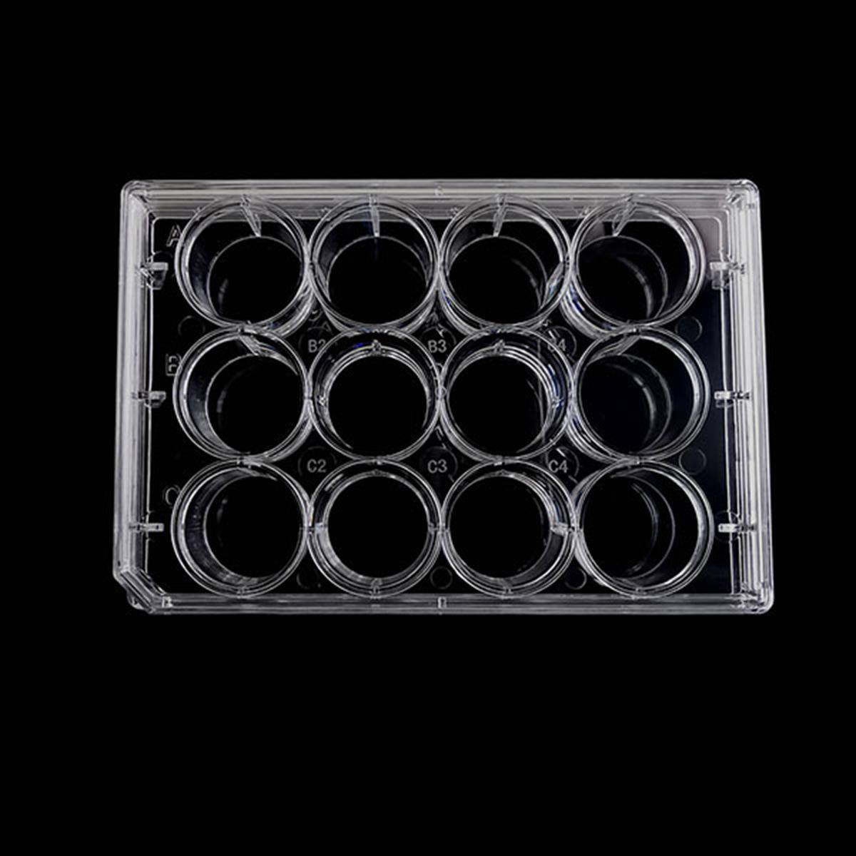 /Content/Upload/Product/SB-CCP-12H-1-diagnocine_1200.jpg