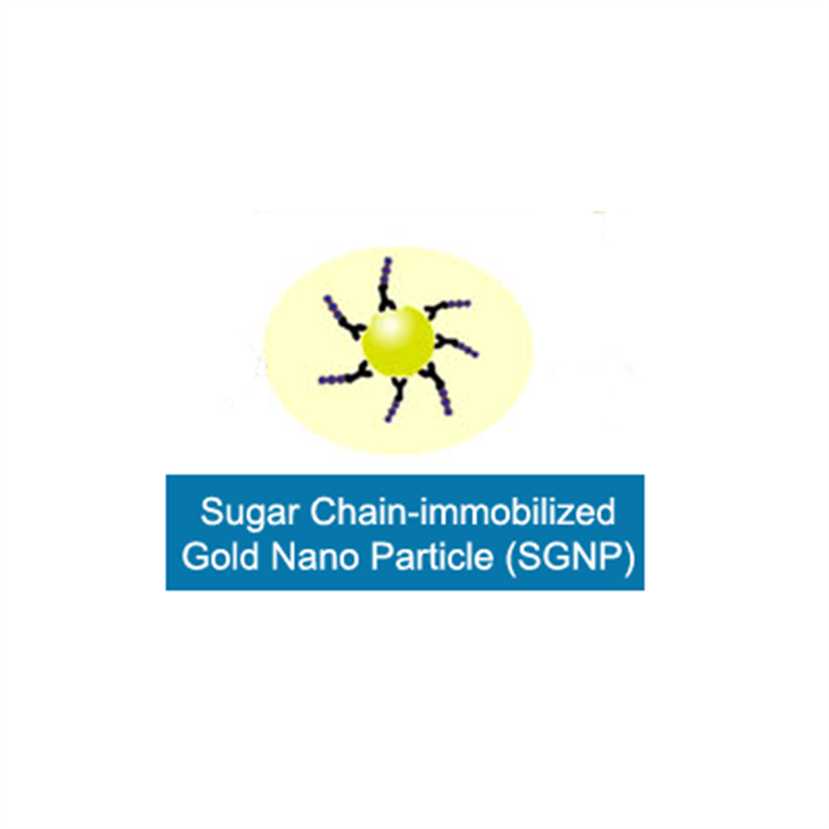 /Content/Upload/Product/SGNP-2_1200_11_1200_1.png