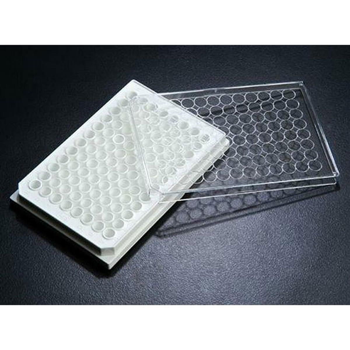 /Content/Upload/Product/SPL-30196_Diagnocine_1200.jpg
