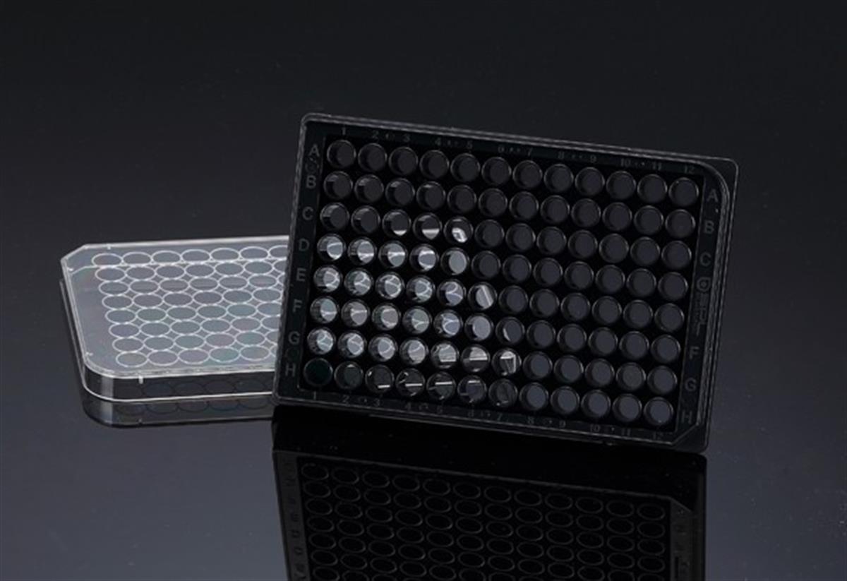/Content/Upload/Product/SPL-33396_1200.jpg