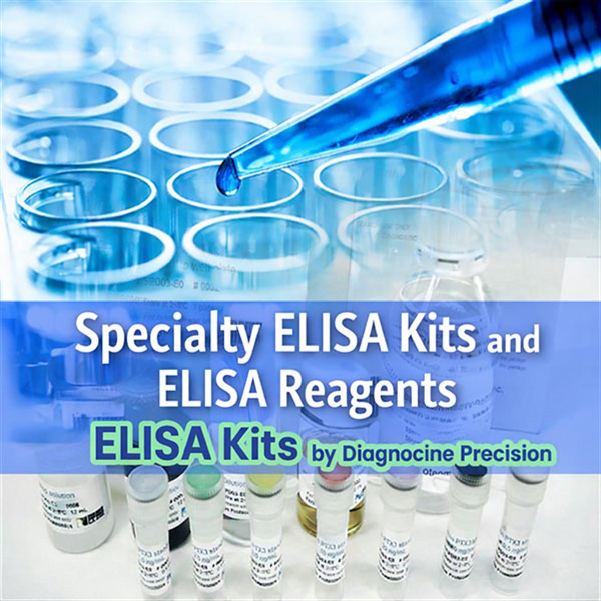 /Content/Upload/Product/Specialty-ELISA-Kits-and-ELISA-Reagents_1200.jpg