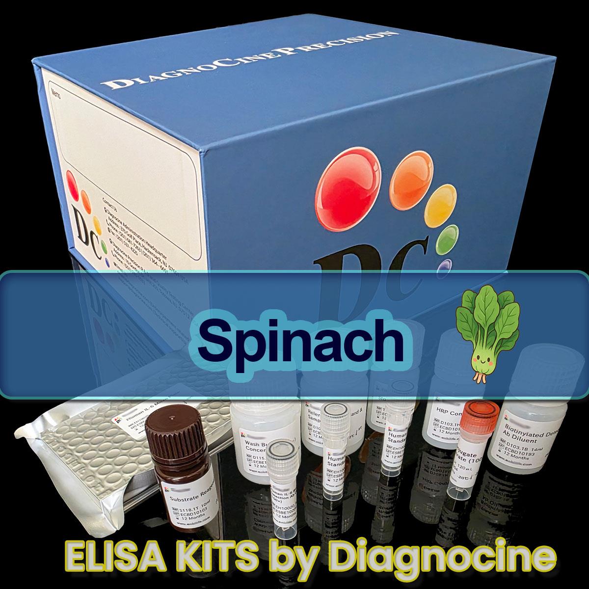 /Content/Upload/Product/Spinach_ELISA_kits_Diagnocine_1200.jpg