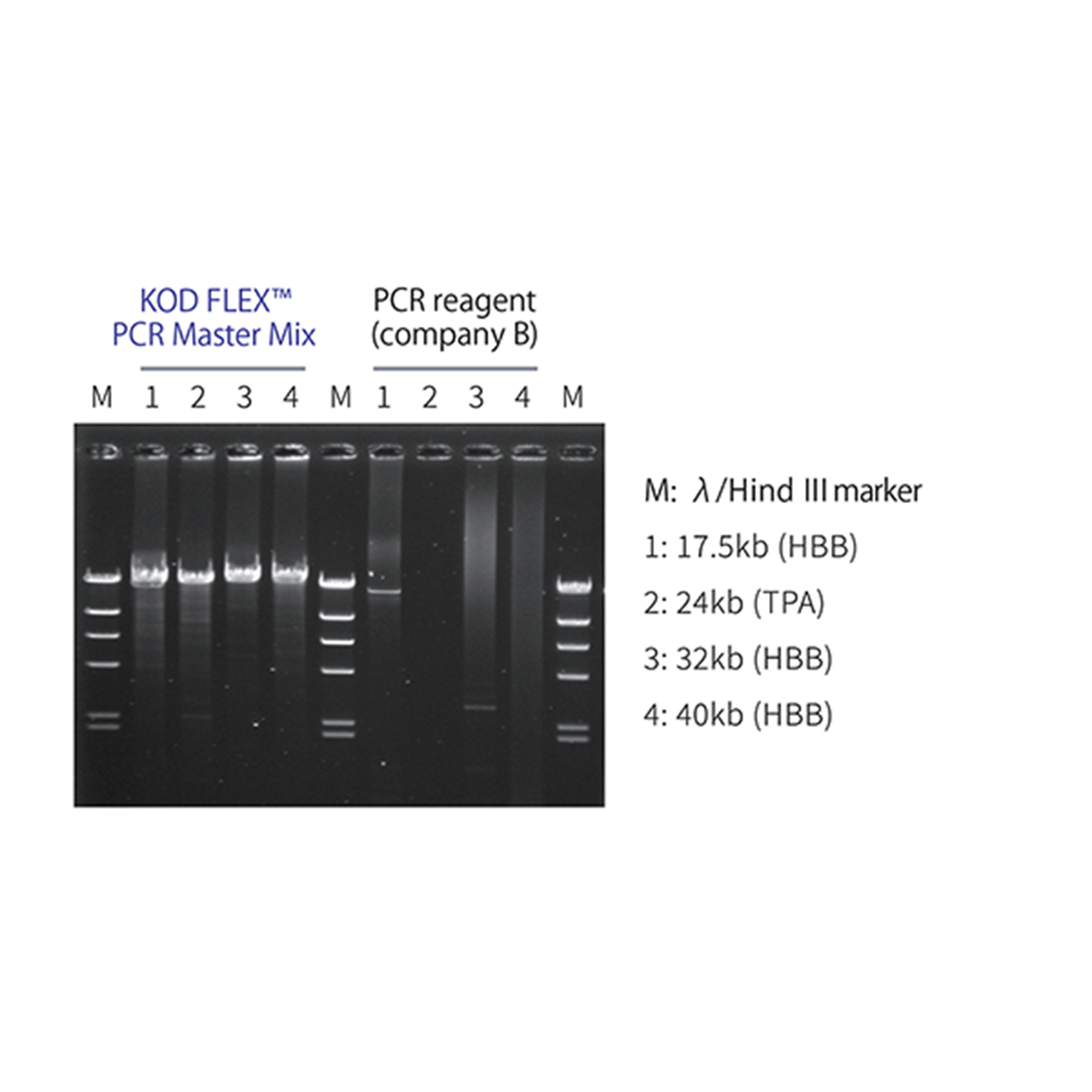 /Content/Upload/Product/TYB-KMX-101_1200_1.png