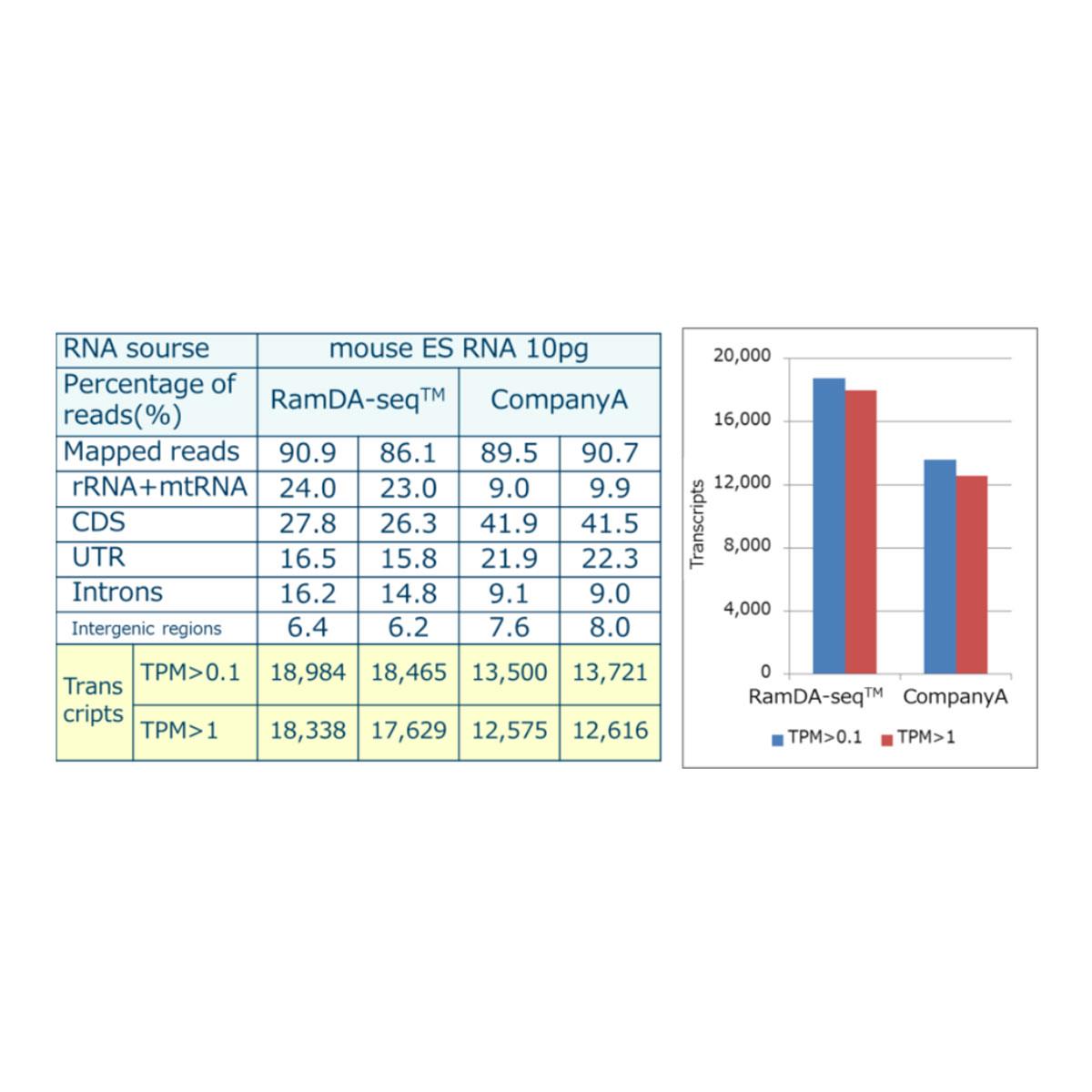 /Content/Upload/Product/TYB-NSR-102_NSR-Primer-Set_Diagnocine_1200.jpg