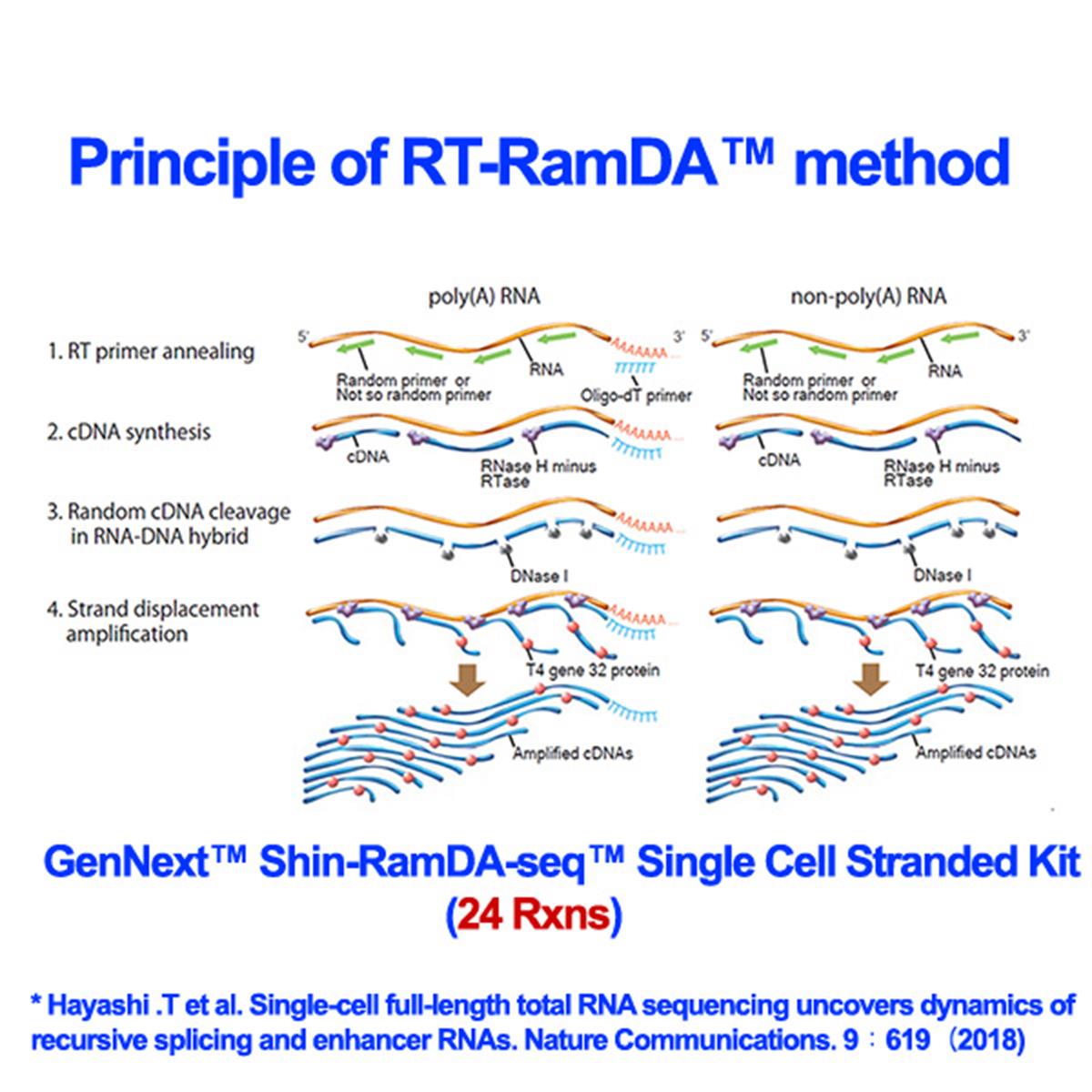 /Content/Upload/Product/TYB-RML-101-Diagnocine-Main-24-Rxns_1200.jpg