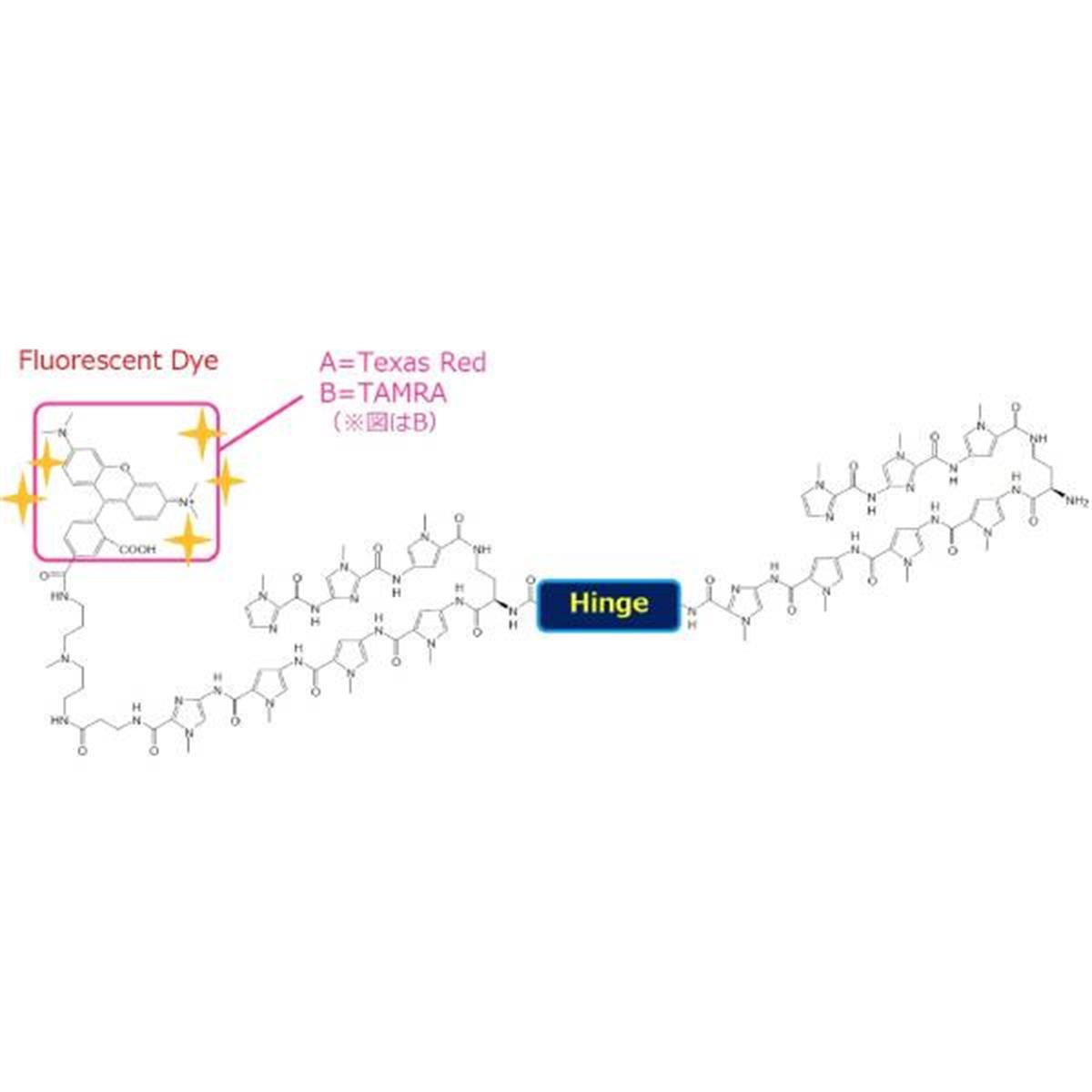 /Content/Upload/Product/TelomereStainingReagentDiagnocine_1200.jpg