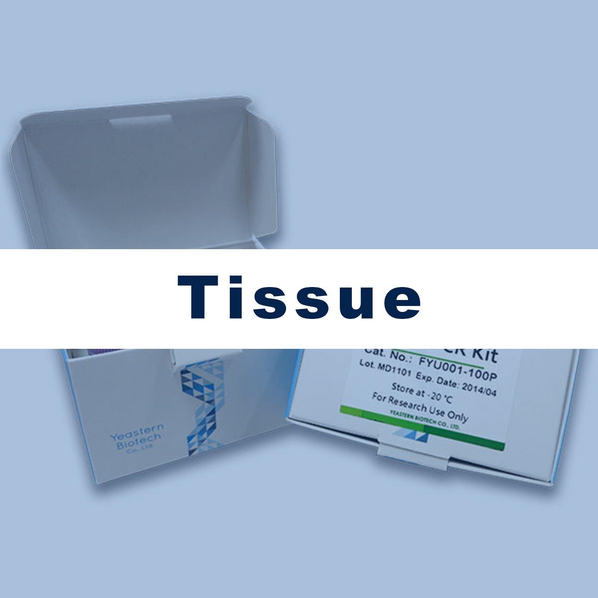/Content/Upload/Product/Tissue_Extraction_Diagnocine_1200.jpg