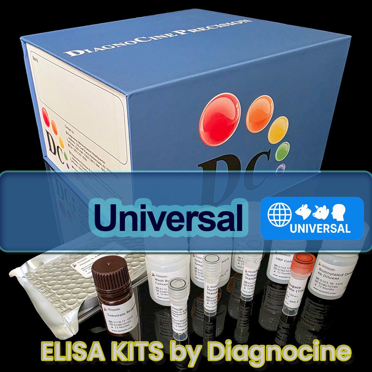 /Content/Upload/Product/Universal_ELISA_kits_Diagnocine_1200(15).jpg