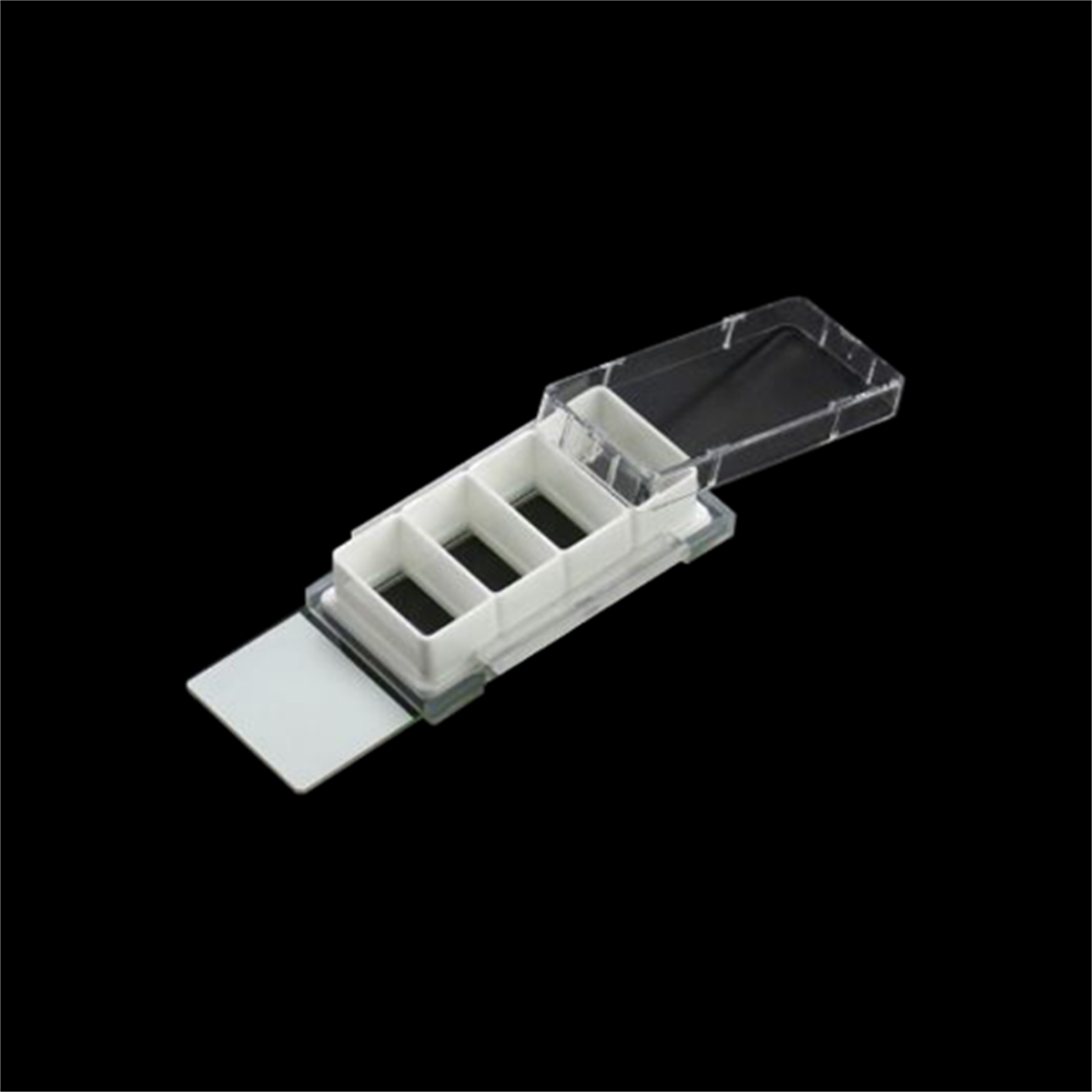 /Content/Upload/Product/White-1_1200_1200_1200_3.png