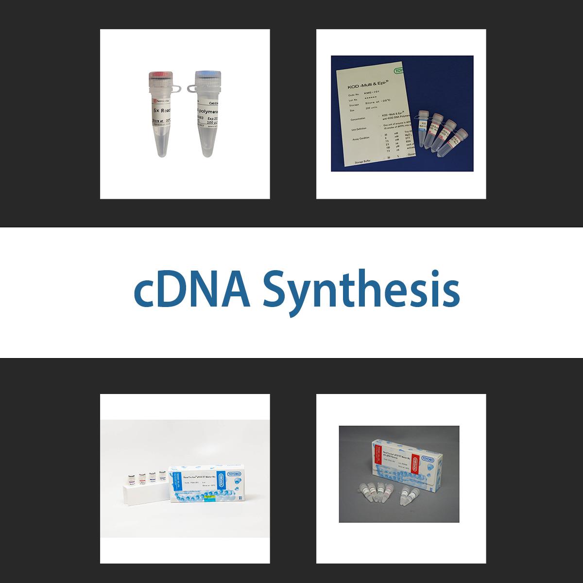 /Content/Upload/Product/cdnasynthesis_1200_2.jpg